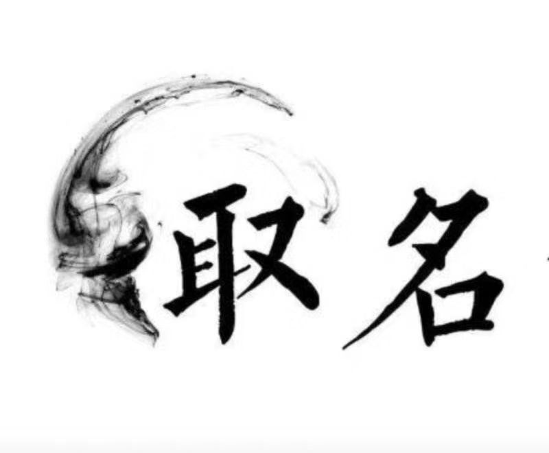  儋州宝宝取名 大师一对一人工起名