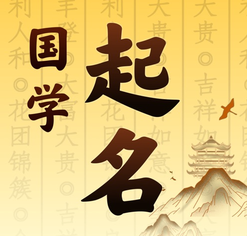 儋州国学起名 人工起名一对一